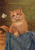 Un chaton attendri pour un anniversaire